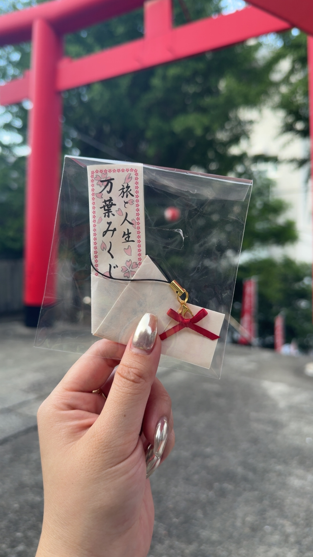 【青春18きっぷ5日間の旅】阿波踊りを目指して東京発西日本周遊旅✨2025年8月