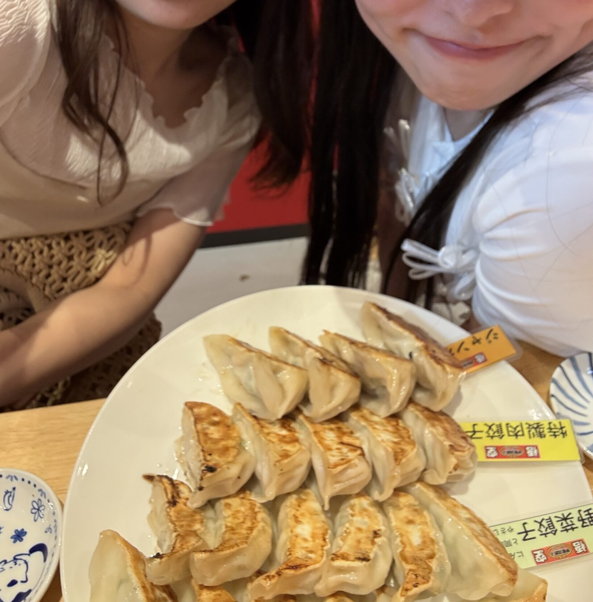 🍺宇都宮で日帰り餃子巡り🥟