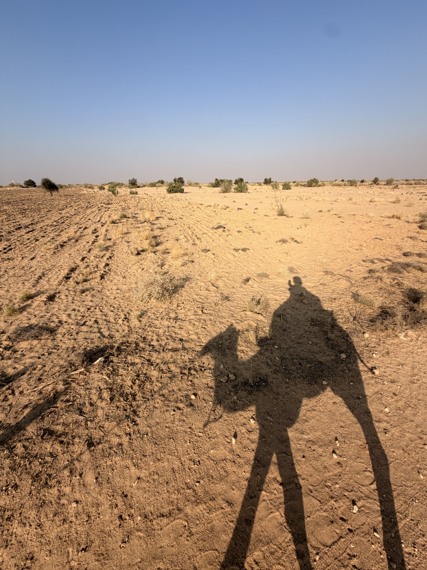 【ジャイサルメール】砂漠1泊2日ツアーで満点の星空を楽しむ